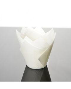 WHITE TULIP MUFFIN CASES